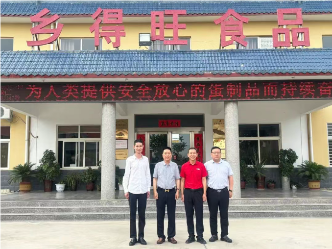 糖果派对 - 更优质的游戏运营商官网